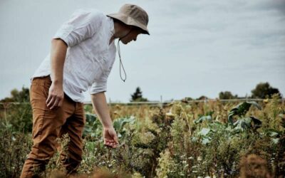 Regenerative Landwirtschaft: Offenheit ja – aber noch viel Unklarheit
