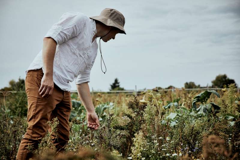 biodiversitaet-bodengesundheit-agt-farmnetzwerk