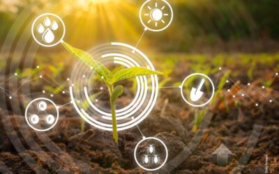 Boden, Regionalität, Vertrauen – neue Umfrage zeigt: Verbraucherinnen und Verbraucher wollen Landwirtschaft aus der Region stärken