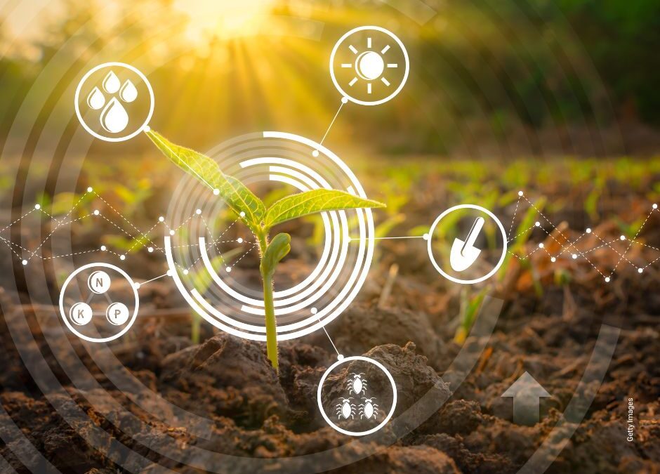 Boden, Regionalität, Vertrauen – neue Umfrage zeigt: Verbraucherinnen und Verbraucher wollen Landwirtschaft aus der Region stärken