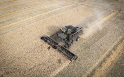 Studie zeigt: Landwirtschaft wird differenzierter wahrgenommen – besonders von Jüngeren