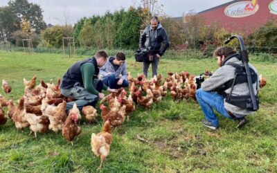 Studie: Menschen wünschen sich mehr persönliche Einblicke in die Landwirtschaft