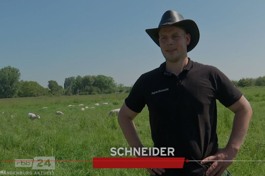 Boden, der Schlüssel zu mehr Nachhaltigkeit